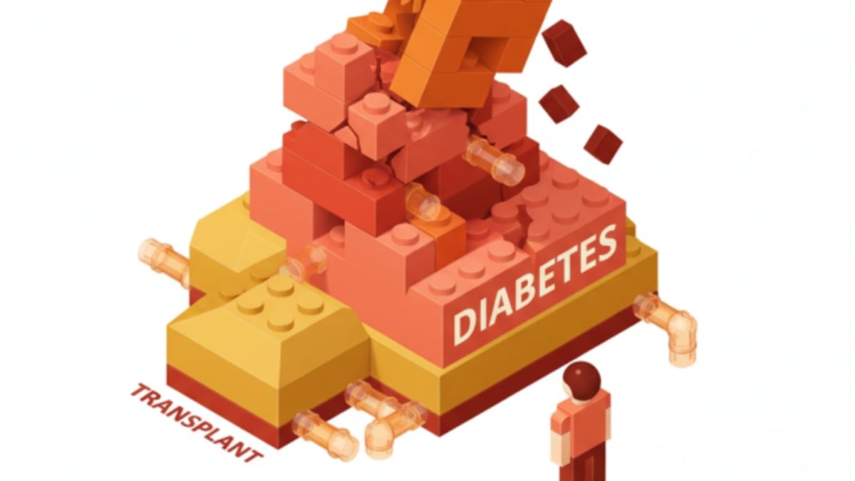 Diabetes Increases Post-Transplant Mortality Risk