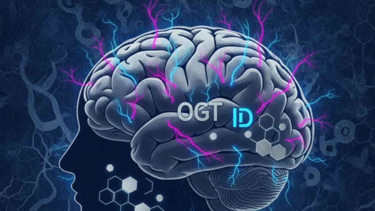 Hyperactivity and ID: It's not just genetics, it's O-GlcNAc dyshomeostasis