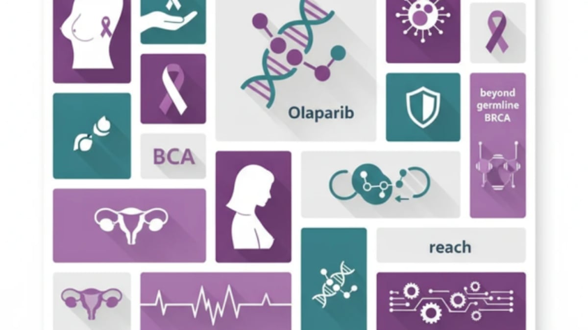 Olaparib: Why HRD in breast and ovarian cancer goes beyond BRCA