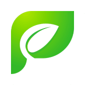 related product
