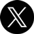 x logo