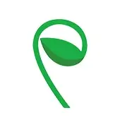 related product