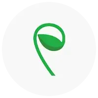 Payroll Starter