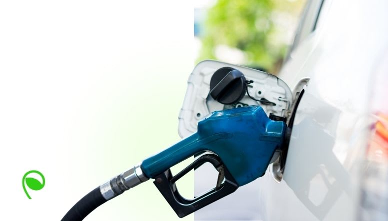 From Conflict to Commute: How the Oil Price Spike Is Testing Hybrid Work Models | Sprout Solutions