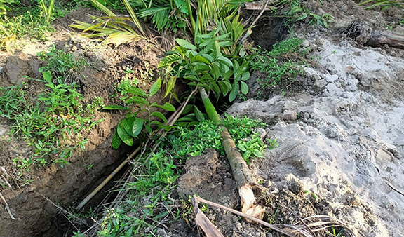 হাতীবান্ধায় জমি বিক্রি করে দলিল না দেয়ার অভিযোগ