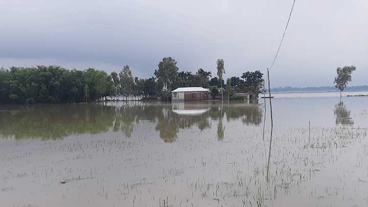 দহগ্রামে বন্যায় ১ হাজার পরিবার পানিবন্দী