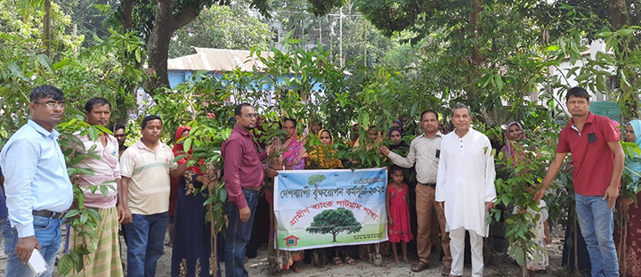 জাতীয় শোক দিবস উপলক্ষ্যে গ্রামীণ ব্যাংক সদস্যদের মধ্যে গাছের চারা বিতরণ