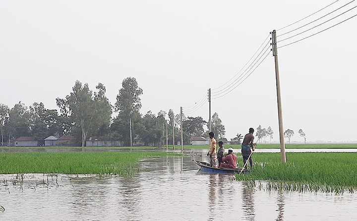 দহগ্রাম বন্যা, ১০ গ্রাম প্লাবিত, দেড় হাজার কৃষকের আমন খেত নষ্টের শঙ্কা