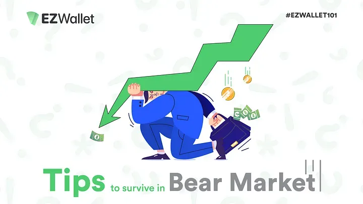 EZ Wallet 101: Surviving the Bear Market — Finding the Floor Price in Uncertain Times