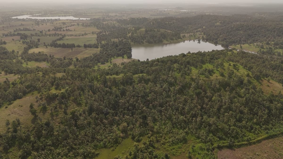 40 ACRE LAKE-TOUCH & HILL-VIEW LAND FOR SALE, photo 3