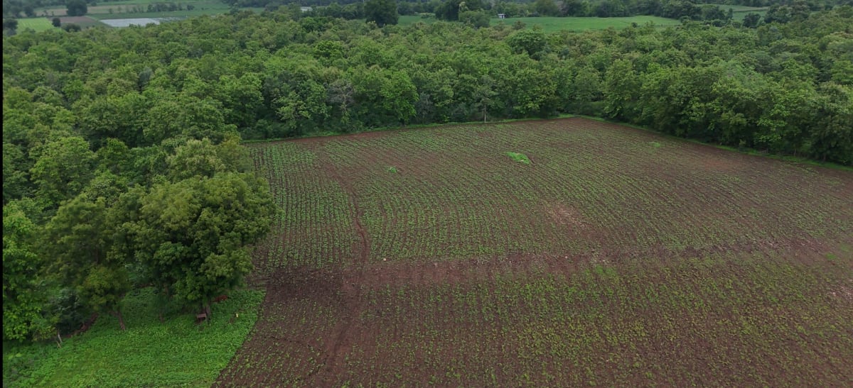 Choral river & forest view land for sale, photo 1