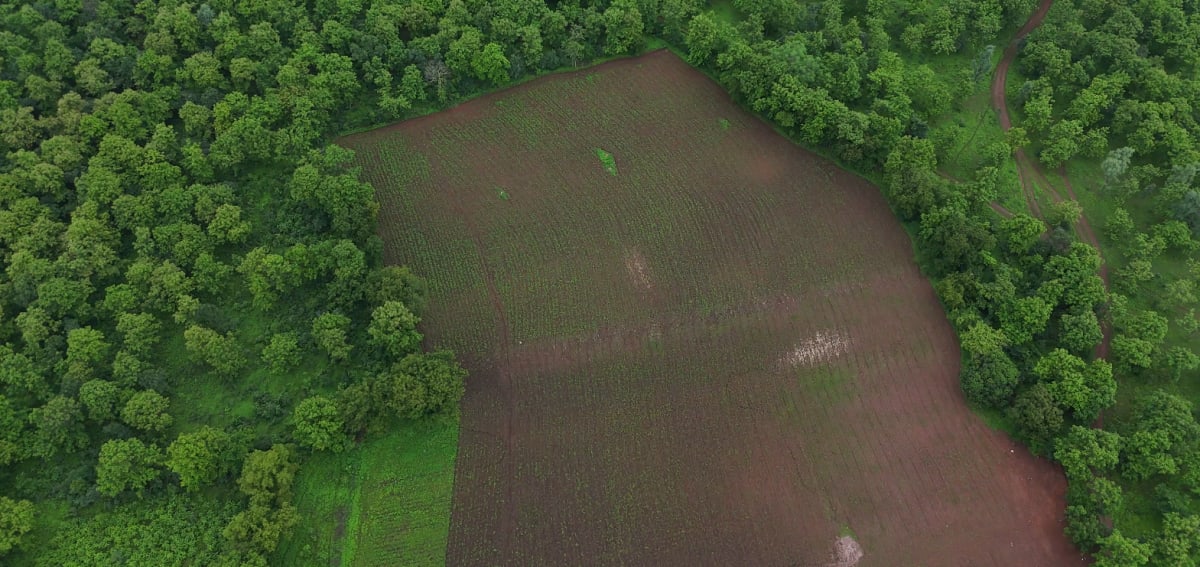 Choral river & forest view land for sale, photo 3