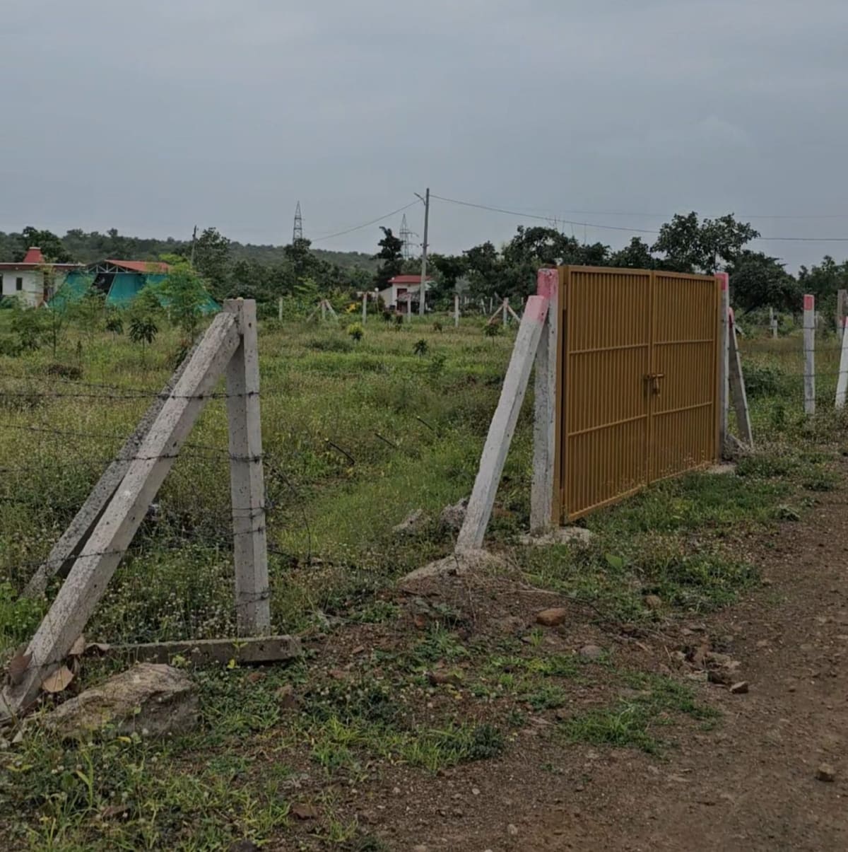 Lake side discovery farm mango farmland for sale, photo 6
