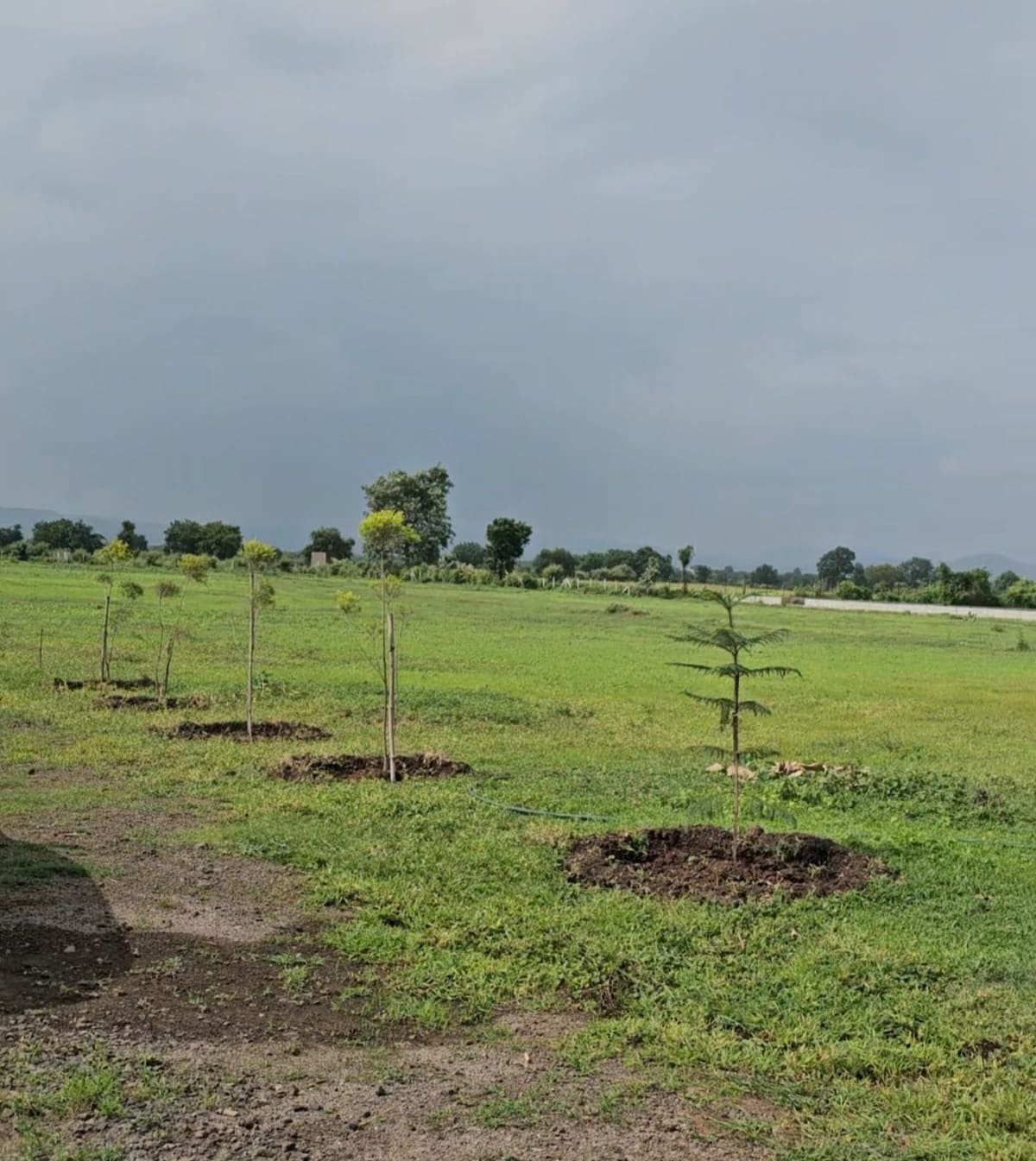 Own your private farmland at Blossom Farm, Balwada, Khandwa Road, near Indore, photo 3