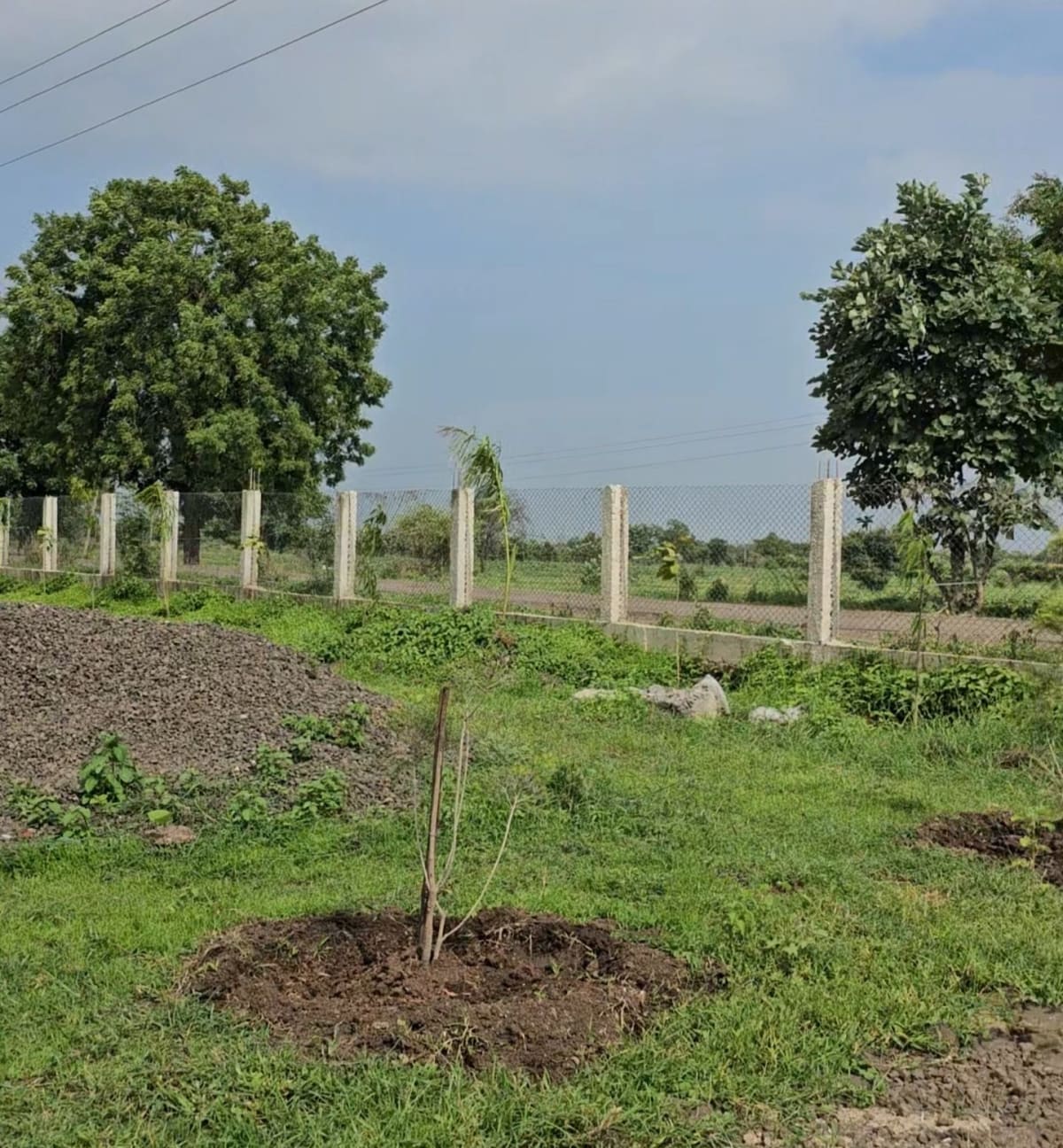 Own your private farmland at Blossom Farm, Balwada, Khandwa Road, near Indore, photo 5