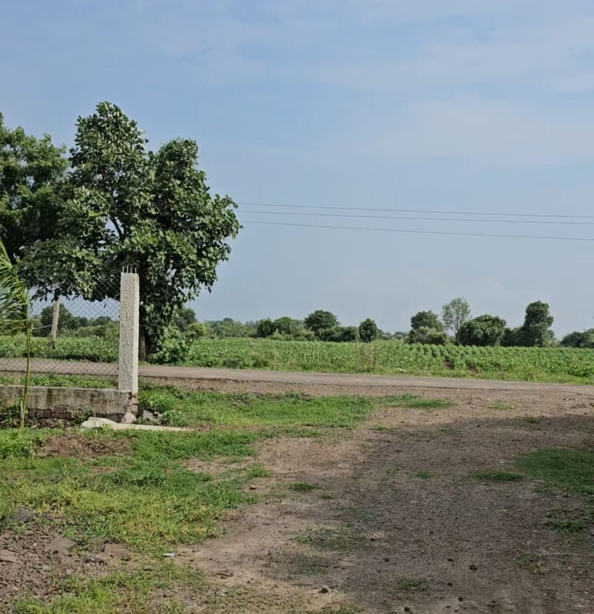 Own your private farmland at Blossom Farm, Balwada, Khandwa Road, near Indore, photo 6