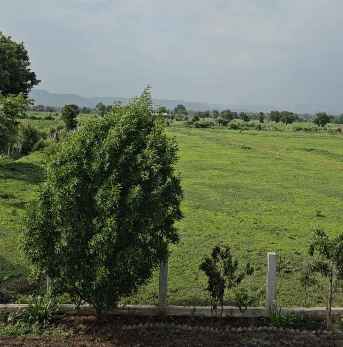 Own your private farmland at Blossom Farm, Balwada, Khandwa Road, near Indore, photo 8