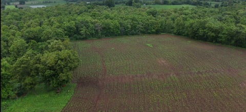 Choral river & forest view land for sale