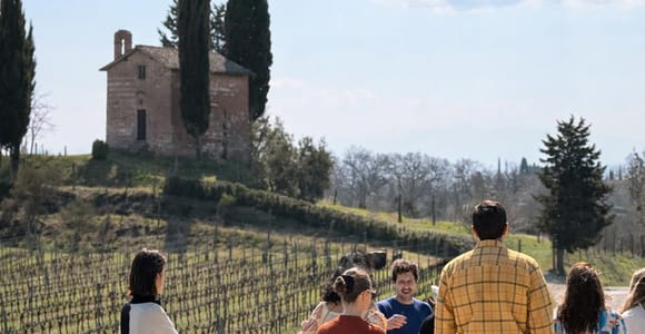 Sienne : Visite des vignobles et des caves avec dégustation et déjeuner toscan