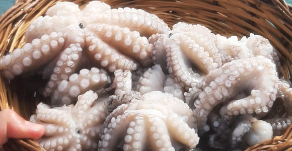 Bari : expérience de pêche à bord d'un authentique bateau de pêche