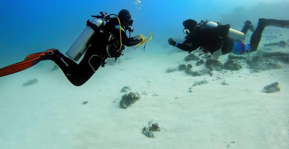 Scuba Diving Experience in Porto Cesareo