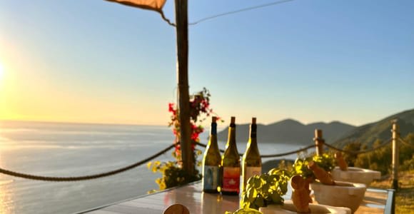 Volastra: BarCa Wine Tasting in Cinque Terre and Pesto Class