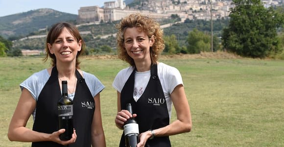 Comida y degustación de 5 vinos + paseo por los viñedos panorámicos