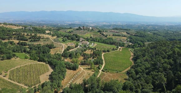 Arezzo: Besuch des Weinguts und Verkostung von 4 Weinen
