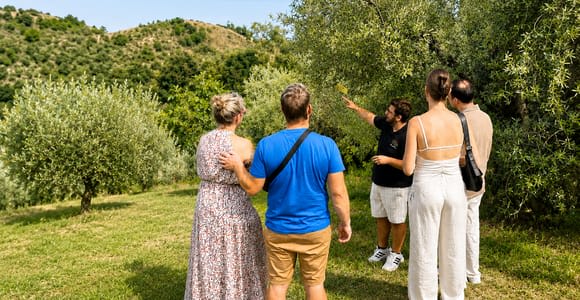 Lake Garda: Tour and Tasting of Olive Oil with Gourmet Food