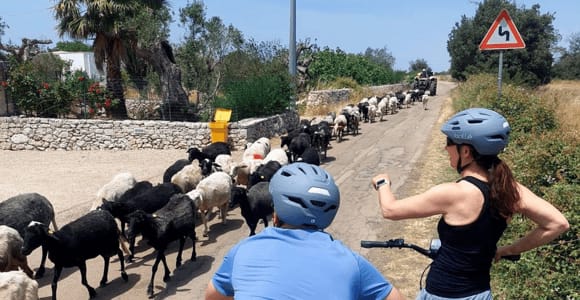 Lecce: E-Bike Tour to Galatina Olive Mill & Wine taste +Taxi