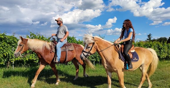 Lake Garda: 2 hours Horseback Ride in the Countryside