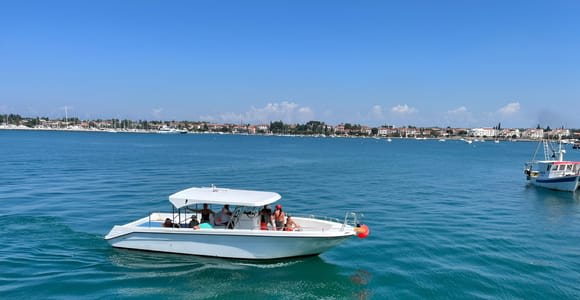 Umag: tour de mañana para hacer snorkel y ver delfines