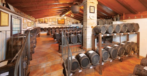 MODENA: BALSAMIC VINEGAR TOUR AND TASTING