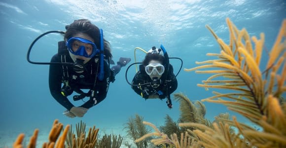 S. M. di Leuca: Baptism of the sea with guided dive