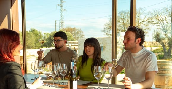 Ostuni: Organic Wine Tasting at a Local Puglia Winery - Tour & Food Pairing