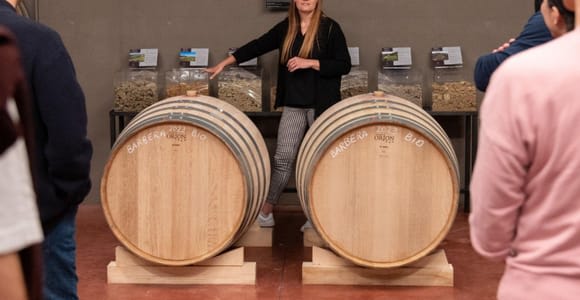 Visita a una Bodega en Parma Hills y Cata de Vinos con Plato de Comida