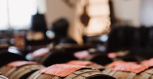 Modena: Balsamic Vinegar Cellar Tour, Tasting & Food Pairing