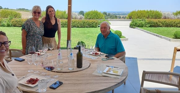 WINE EXPERIENCE & DOZZA - Private Day Tour ab Ravenna