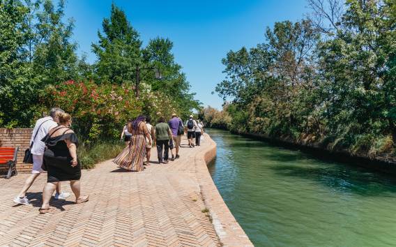 Boat Trip: Glimpse of Murano, Torcello & Burano Islands