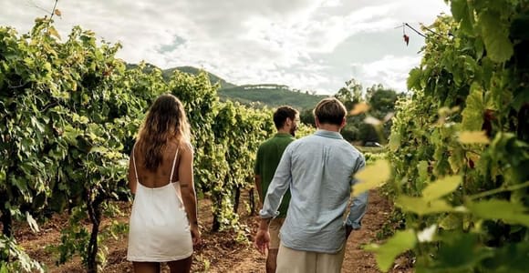 Elba Island: Guided Tour of the Farm with Food Tasting