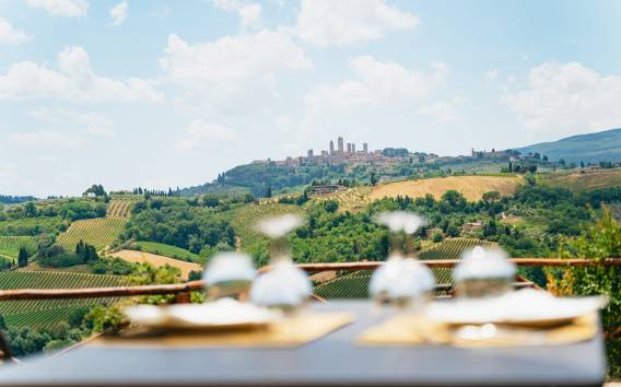 Chianti: escursione con pranzo in una cantina vinicola