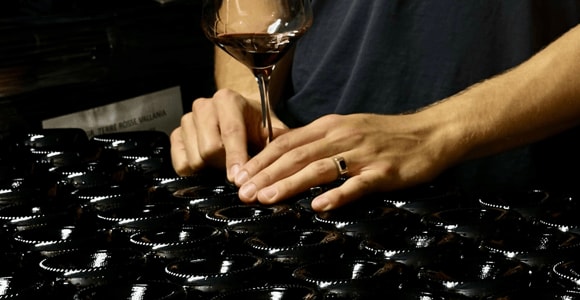 Boutique Winery Tour with Wine Tasting & Food in Bologna
