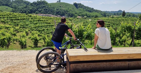 Valdobbiadene: Guided E-Bike Tour in Prosecco Hills