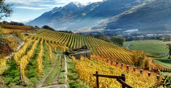 Aosta Valley: Visit and wine tasting at the Grosjean winery