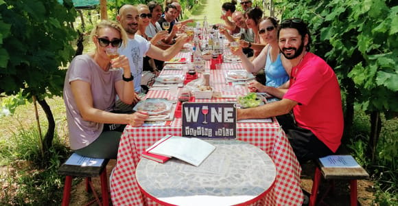 Lucca: Guided E-Bike and Wine Tour