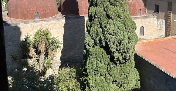 Palermo: Tour zu geheimen Terrassen und versteckten Ecken