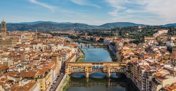 Livorno Shore Excursion: Florence & Pisa, Accademia & Tower