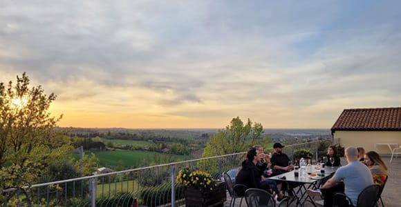 Bologna Wine Tasting & Winery Tour in the Colli Bolognesi