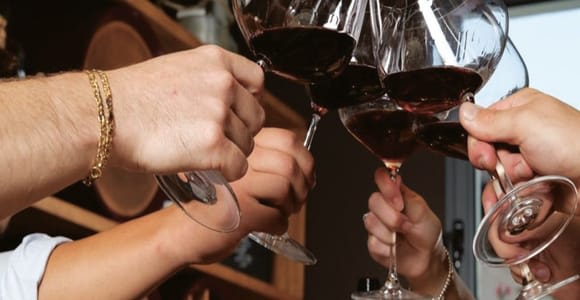 Porto Cesareo: Tour in oliveto con degustazione olio e vini