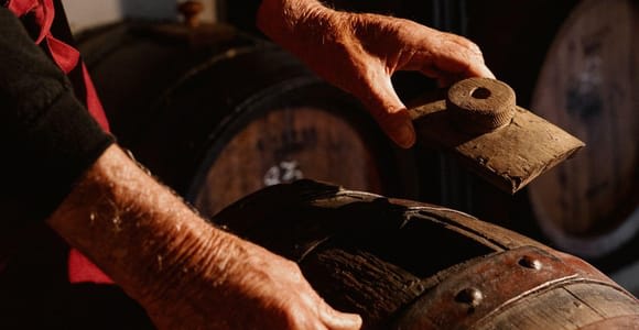 Acetaia Classica: Balsamic Vinegar Factory Tour & Tasting